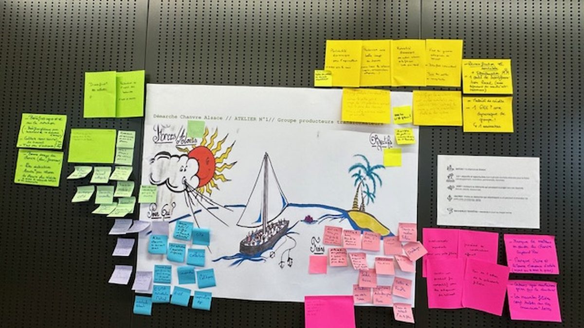 Filière chanvre Alsace